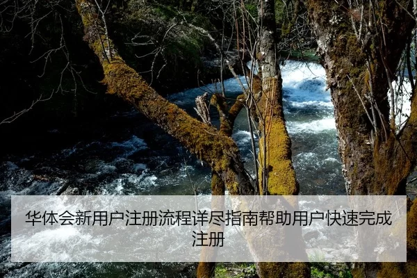华体会新用户注册流程详尽指南帮助用户快速完成注册