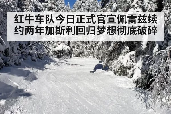 红牛车队今日正式官宣佩雷兹续约两年加斯利回归梦想彻底破碎